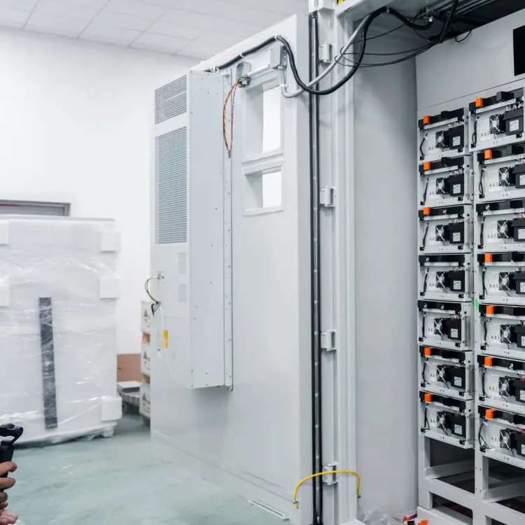 Distributed Photovoltaic Generation and Energy Storage